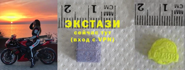 стаф Богородск