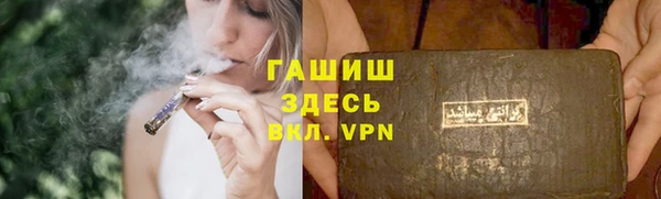 метадон Богданович