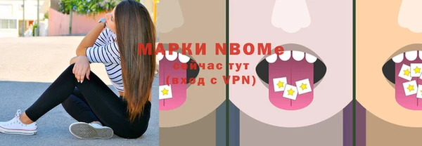 стаф Богородск