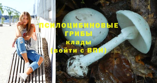 не бодяженный Богородицк