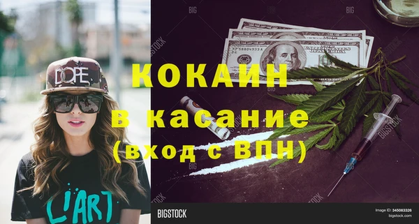 трава Сатка