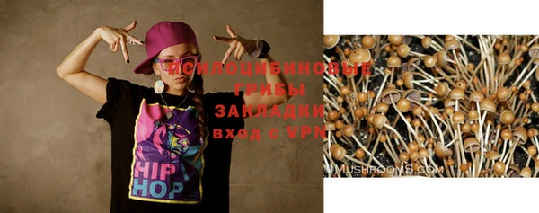гидропоника Белоозёрский
