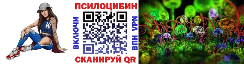 omg ССЫЛКА  Мурино  Псилоцибиновые грибы MAGIC MUSHROOMS 